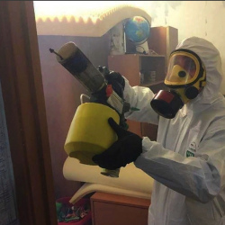 Уничтожение клопов в квартире. Нахабино